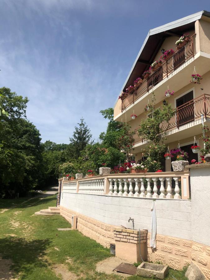 Apartman Ana Vrlika Kültér fotó